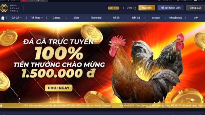 Pkwin cung cấp nhiều lựa chọn giải trí đa dạng - Pkwin
