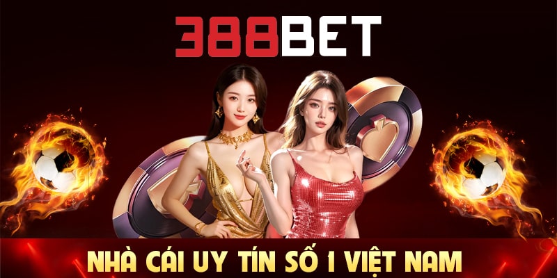 Các đặc điểm chính của thông tin Bk8866 - Bk8866