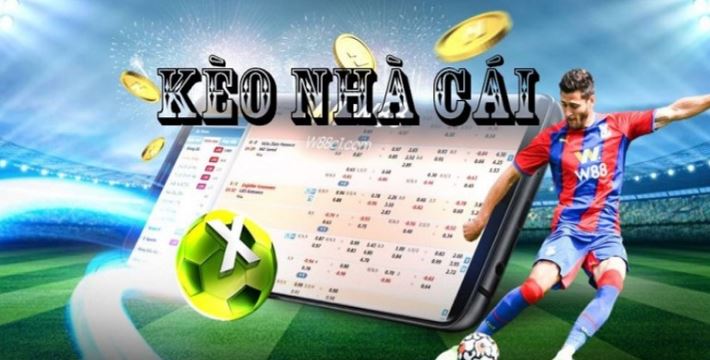 Loto288 cung cấp các chương trình khuyến mãi và mã quà tặng vô cùng hấp dẫn - Loto288