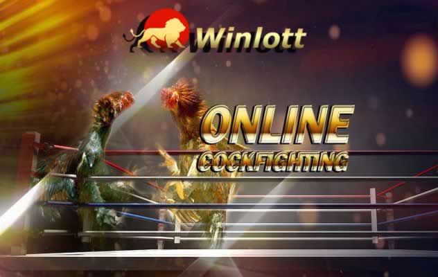 Giải tỏa cảm xúc của bạn với Benbet! - Benbet