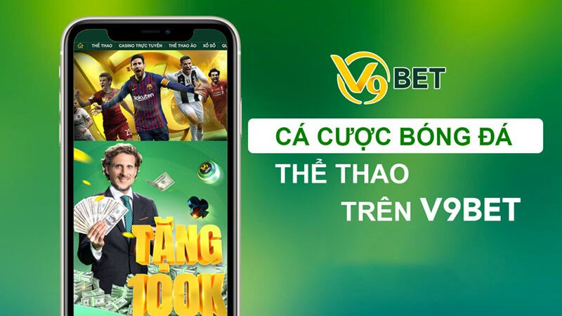 Caxeng Fox House có một số sản phẩm tuyệt vời - Caxeng