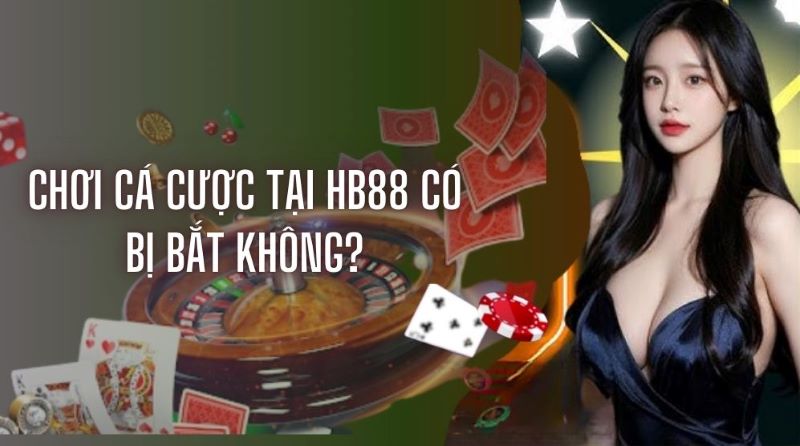 Hướng dẫn hoàn thuế 66Vn và những lưu ý quan trọng - 66Vn