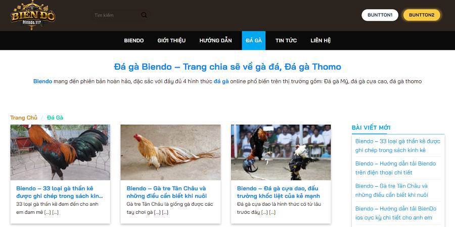Các biện pháp bảo mật cho các trang web trò chơi cấp 68Win - 68Win