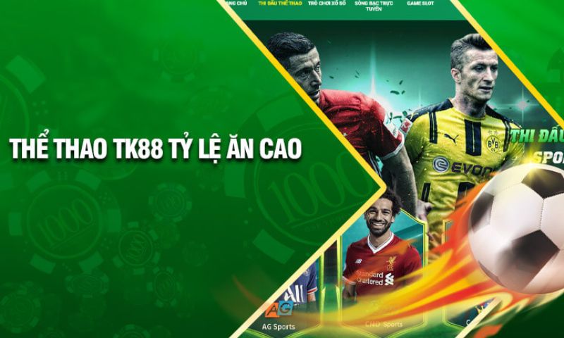 Tôi đã duyệt qua thư viện khổng lồ các trò chơi trực tuyến được xếp hạng Dk8 - Dk8
