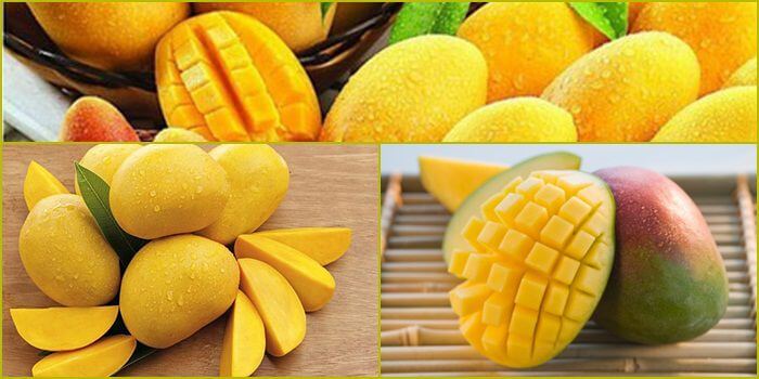 Eu9 cung cấp cho người chơi cá cược những tính năng vượt trội - Eu9