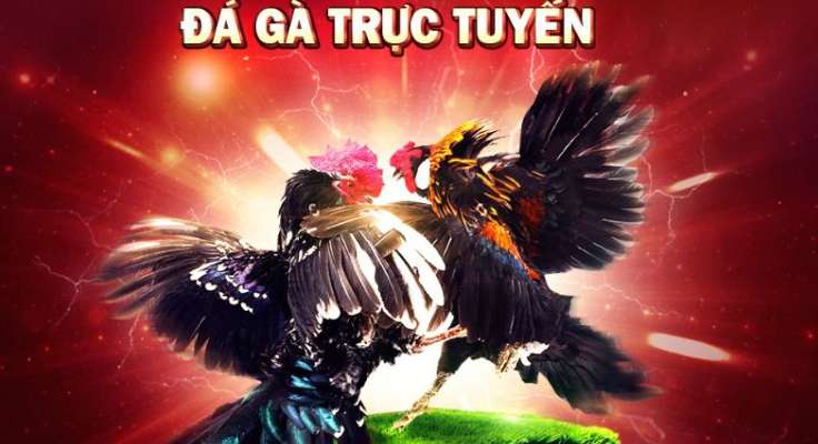 Những điều cần lưu ý khi đặt cược vào các trò chơi của các công ty cá cược được xếp hạng Kv99 - Kv99
