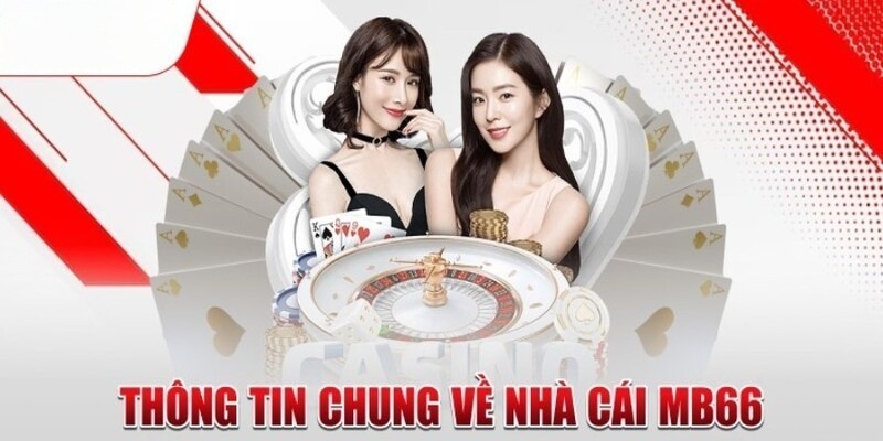 Hướng dẫn cá cược quần vợt rất đơn giản, được xếp hạng Pg88 - Pg88